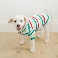 2024 Blank Christmas Pajamas - DOG